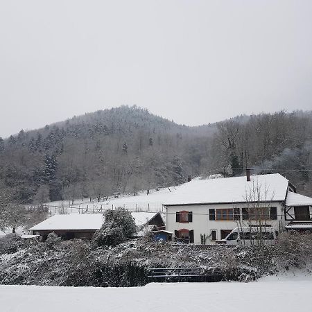 Gite Le Creux Chene Rombach-le-Franc ภายนอก รูปภาพ