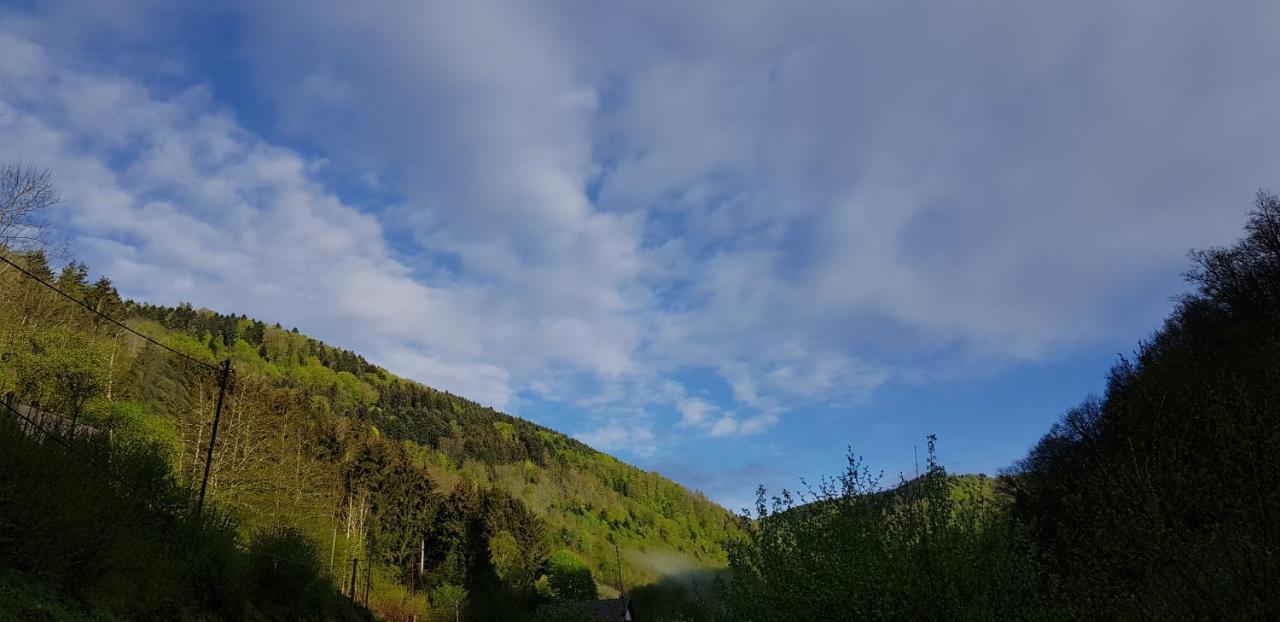 Gite Le Creux Chene Rombach-le-Franc ภายนอก รูปภาพ
