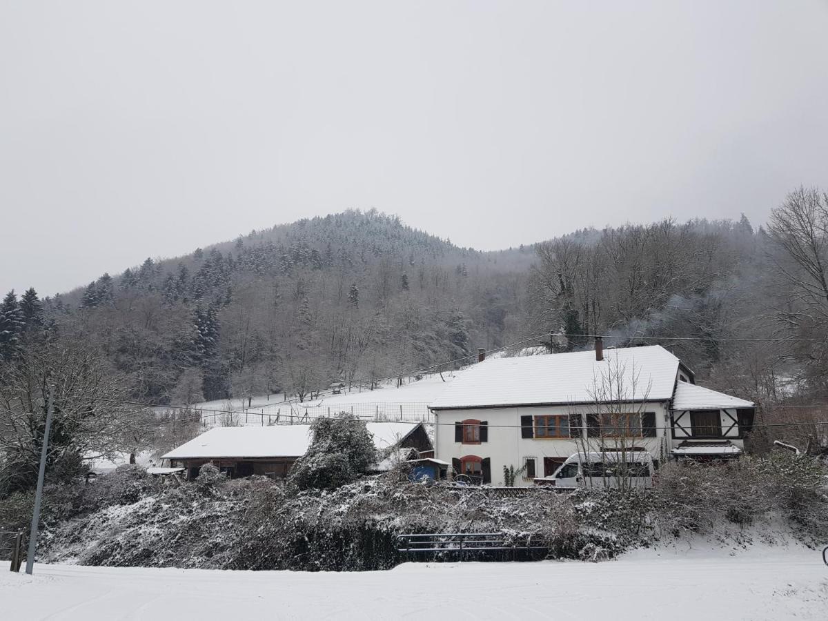 Gite Le Creux Chene Rombach-le-Franc ภายนอก รูปภาพ